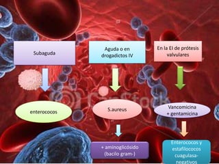 Aguda o en        En la EI de prótesis
 Subaguda     drogadictos IV          valvulares




                S.aureus              Vancomicina
enterococos                          + gentamicina




                                       Enterococos y
              + aminoglicósido         estafilococos
               (bacilo gram-)           cuagulasa-
                                         negativos
 
