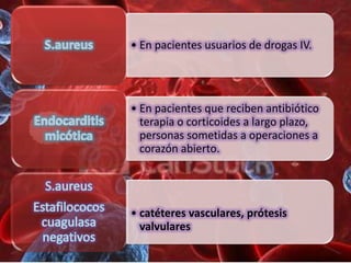 • En pacientes usuarios de drogas IV.




• En pacientes que reciben antibiótico
  terapia o corticoides a largo plazo,
  personas sometidas a operaciones a
  corazón abierto.




• catéteres vasculares, prótesis
  valvulares
 