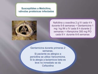 Susceptibles a Meticilina,
válvulas protésicas infectadas
Nafcilina u oxacilina 2 g IV cada 4 h
durante 6-8 semanas + Gentamicina 1
mg / kg IM o IV cada 8 h durante 2
semanas + rifampicina 300 mg PO
cada 8 h durante 6-8 semanas
Gentamicina durante primeras 2
semanas.
Si paciente es alérgico a
penicilina se utiliza Vancomicina.
Si la alergia a lactamicos beta es
leve no inmediato se da
Cefazolina
 