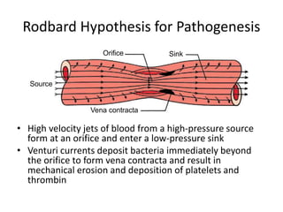 Rodbard Hypothesis for Pathogenesis 
PART III Acquired Valvar 674 Heart Disease 
Orifice Sink 
Vena contracta 
Source 
Figure 15-1 Flow through a permeable tube. High-pressure source 
drives fluid through an orifice into a low-pressure sink. Curved 
arrows leaving the stream entering wall in upstream segment rep-resent 
normal perfusion of lining layer. Velocity is maximal and 
perfusing pressure is low immediately beyond orifice, where 
momentum of stream converges stream lines to form a vena con-tracta. 
Low pressure in this segment results in reduced perfusion 
and may cause retrograde flow from deeper layers of vessel into the 
flowing stream. It is at the vena contracta that bacteria and other 
formed elements in blood accumulate. (From Rodbard.R4) 
• High velocity jets of blood from a high-pressure source 
form at an orifice and enter a low-pressure sink 
• Venturi currents deposit bacteria immediately beyond 
the orifice to form vena contracta and result in 
mechanical erosion and deposition of platelets and 
thrombin 
 