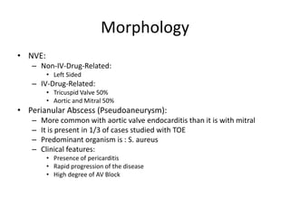 Morphology 
• NVE: 
– Non-IV-Drug-Related: 
• Left Sided 
– IV-Drug-Related: 
• Tricuspid Valve 50% 
• Aortic and Mitral 50% 
• Perianular Abscess (Pseudoaneurysm): 
– More common with aortic valve endocarditis than it is with mitral 
– It is present in 1/3 of cases studied with TOE 
– Predominant organism is : S. aureus 
– Clinical features: 
• Presence of pericarditis 
• Rapid progression of the disease 
• High degree of AV Block 
 