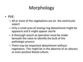 Morphology 
• PVE: 
– All or most of the vegetations are on the ventricular 
aspect 
– Only a small area of sewing ring detachment might be 
apparent and it might appear sterile 
– A thorough search at operation must be made 
beneath the valve to identify the bulk of the 
pathologic process 
– There may be important detachment without 
vegetation. This might be in the absence of an abscess 
or even positive blood culture. 
 
