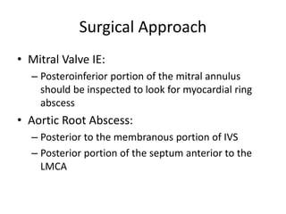 Surgical Approach 
• Mitral Valve IE: 
– Posteroinferior portion of the mitral annulus 
should be inspected to look for myocardial ring 
abscess 
• Aortic Root Abscess: 
– Posterior to the membranous portion of IVS 
– Posterior portion of the septum anterior to the 
LMCA 
 