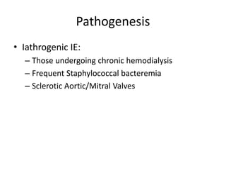 Pathogenesis 
• Iathrogenic IE: 
– Those undergoing chronic hemodialysis 
– Frequent Staphylococcal bacteremia 
– Sclerotic Aortic/Mitral Valves 
 