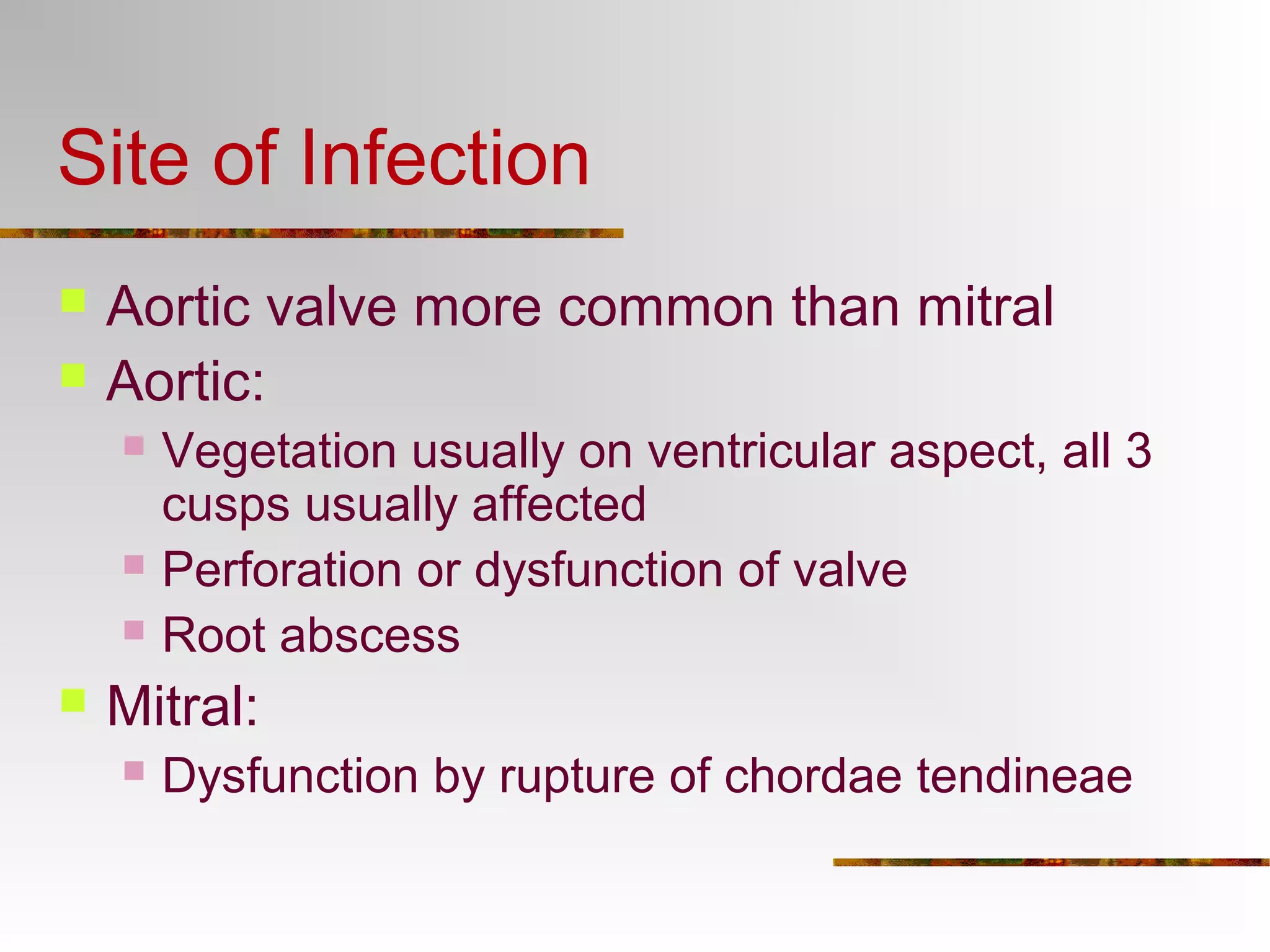 Site of Infection 
 Aortic valve more common than mitral 
 Aortic: 
 Vegetation usually on ventricular aspect, all 3 
cusps usually affected 
 Perforation or dysfunction of valve 
 Root abscess 
 Mitral: 
 Dysfunction by rupture of chordae tendineae 
 
