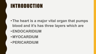 INTRODUCTION
•The heart is a major vital organ that pumps
blood and it’s has three layers which are
•ENDOCARIDIUM
•MYOCARDIUM
•PERICARDIUM
 
