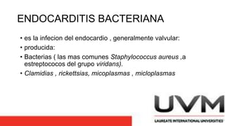 ENDOCARDITIS BACTERIANA
• es la infecion del endocardio , generalmente valvular:
• producida:
• Bacterias ( las mas comunes Staphylococcus aureus ,a
estreptococos del grupo viridans).
• Clamidias , rickettsias, micoplasmas , micloplasmas
 