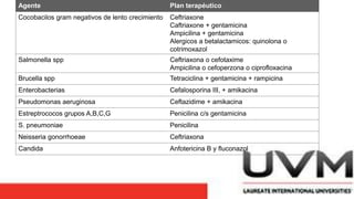 Agente Plan terapéutico
Cocobacilos gram negativos de lento crecimiento Ceftriaxone
Caftriaxone + gentamicina
Ampicilina + gentamicina
Alergicos a betalactamicos: quinolona o
cotrimoxazol
Salmonella spp Ceftriaxona o cefotaxime
Ampicilina o cefoperzona o ciprofloxacina
Brucella spp Tetraciclina + gentamicina + rampicina
Enterobacterias Cefalosporina III, + amikacina
Pseudomonas aeruginosa Ceftazidime + amikacina
Estreptrococos grupos A,B,C,G Penicilina c/s gentamicina
S. pneumoniae Penicilina
Neisseria gonorrhoeae Ceftriaxona
Candida Anfotericina B y fluconazol
 