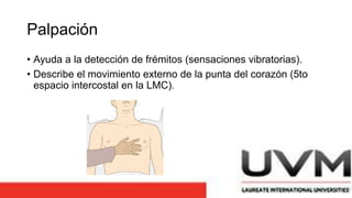 Palpación
• Ayuda a la detección de frémitos (sensaciones vibratorias).
• Describe el movimiento externo de la punta del corazón (5to
espacio intercostal en la LMC).
 