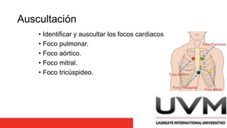 Auscultación
• Identificar y auscultar los focos cardiacos
• Foco pulmonar.
• Foco aórtico.
• Foco mitral.
• Foco tricúspideo.
 