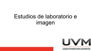 Estudios de laboratorio e
imagen
 