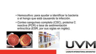 • Hemocultivo: para ayudar a identificar la bacteria
o el hongo que está causando la infección.
• Conteo sanguíneo completo (CSC), proteína C
reactiva (PCR) o tasa de sedimentación
eritrocítica (ESR, por sus siglas en inglés).
 