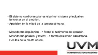 • El sistema cardiovascular es el primer sistema principal en
funcionar en el embrión.
• Aparición en la mitad de la tercera semana.
• Mesodermo esplácnico --> forma el rudimento del corazón.
• Mesodermo paraxial y lateral --> forma el sistema circulatorio.
• Células de la cresta neural.
 