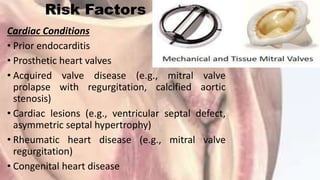 Risk Factors
Cardiac Conditions
• Prior endocarditis
• Prosthetic heart valves
• Acquired valve disease (e.g., mitral valve
prolapse with regurgitation, calcified aortic
stenosis)
• Cardiac lesions (e.g., ventricular septal defect,
asymmetric septal hypertrophy)
• Rheumatic heart disease (e.g., mitral valve
regurgitation)
• Congenital heart disease
 