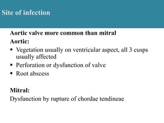 Site of infection
Aortic valve more common than mitral
Aortic:
 Vegetation usually on ventricular aspect, all 3 cusps
usually affected
 Perforation or dysfunction of valve
 Root abscess
Mitral:
Dysfunction by rupture of chordae tendineae
 