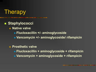 Therapy
 Staphylococci
 Native valve
 Flucloxacillin +/- aminoglycoside
 Vancomycin +/- aminoglycoside/ rifampicin
 Prosthetic valve
 Flucloxacillin + aminoglycoside + rifampicin
 Vancomycin + aminoglycoside + rifampicin
 