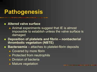 Pathogenesis
 Altered valve surface
 Animal experiments suggest that IE is almost
impossible to establish unless the valve surface is
damaged
 Deposition of platelets and fibrin – nonbacterial
thrombotic vegetation (NBTE)
 Bacteraemia – attaches to platelet-fibrin deposits
 Covered by more fibrin
 Protected from neutrophils
 Division of bacteria
 Mature vegetation
 