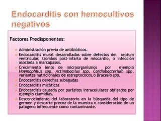 Factores Predisponentes:
 Administración previa de antibióticos.
 Endocarditis mural desarrolladas sobre defectos del septum
ventricular, trombos post-infarto de miocardio, o infección
asociada a marcapasos.
 Crecimiento lento de microorganismos por ejemplo
Haemophilus spp, Actinobacilus spp, Cardiobacterium spp,
variantes nutricionales de estreptococos,o Brucella spp.
 Endocarditis derechas subagudas
 Endocarditis micóticas
 Endocarditis causada por parásitos intracelulares obligados por
ejemplo clamidias.
 Desconocimiento del laboratorio en la búsqueda del tipo de
germen y descarte precoz de la muestra o consideración de un
patógeno infrecuente como contaminante.
 