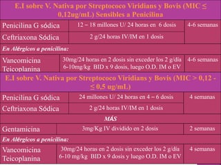 E.I sobre V. Nativa por Streptococo Viridians y Bovis (MIC ≤
0,12ug/mL) Sensibles a Penicilina
Penicilina G sódica 12 – 18 millones U/ 24 horas en 6 dosis 4-6 semanas
Ceftriaxona Sódica 2 g/24 horas IV/IM en 1 dosis
En Alérgicos a penicilina:
Vancomicina
Teicoplanina
30mg/24 horas en 2 dosis sin exceder los 2 g/día
6-10mg/kg BID x 9 dosis, luego O.D. IM o EV
4-6 semanas
E.I sobre V. Nativa por Streptococo Viridians y Bovis (MIC > 0,12 -
≤ 0,5 ug/mL)
Penicilina G sódica 24 millones U/ 24 horas en 4 – 6 dosis 4 semanas
Ceftriaxona Sódica 2 g/24 horas IV/IM en 1 dosis
MÁS
Gentamicina 3mg/Kg IV dividido en 2 dosis 2 semanas
En Alérgicos a penicilina:
Vancomicina
Teicoplanina
30mg/24 horas en 2 dosis sin exceder los 2 g/día
6-10 mg/kg BID x 9 dosis y luego O.D. IM o EV
4 semanas
 