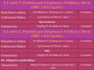 E.I sobre V. Protésica por Streptococo Viridians y Bovis
(MIC ≤ 0,12 ug/mL)
Penicilina G sódica 24 millones U/ 24 horas en 4 – 6 dosis 6 semanas
Ceftriaxona Sódica 2 g/24 horas IV/IM en 1 dosis
Opcionalmente
Gentamicina 3mg/Kg IV dividido en 2 dosis 2 semanas
E.I sobre V. Protésica por Streptococo Viridians y Bovis
(MIC > 0,12 ug/mL)
Penicilina G sódica 24 millones U/ 24 horas en 4 – 6 dosis 6 semanas
Ceftriaxona Sódica 2 g/24 horas IV/IM en 1 dosis
MÁS
Gentamicina 3mg/Kg IV dividido en 2 dosis 6 semanas
En Alérgicos a penicilina:
Vancomicina 30mg/24 horas en 2 dosis sin exceder los 2
g/día
6 semanas
 