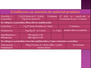 Estafilococo en ausencia de material protésico
Oxacilina ò
Cloxacilina
12 g/24 horas en 4 – 6 dosis
12g/d en 6 dosis EV
6 semanas EI dcha no complicada se
recomienda tto por 2 semanas
En Alérgicos a penicilina (Reacción no anafilactoide)
Cefazolina + 6 g/24 horas dividido en 3 dosis 6 semanas
Gentamicina 3mg/Kg IV en 3 dosis 3 - 5 días beneficio clínico no establecido
Ciprofloxacino +
Rifampicina
750 mg/12 h VO
300 mg/12 h VO
En Alérgicos a penicilina (reacción anafilactoide) o Cepas resistentes a oxacilina:
Vancomicina +
Gentamicina
30mg/24 horas en 2 dosis (Máx: 2 g/día)
(misma dosis)
4-6 semanas
 