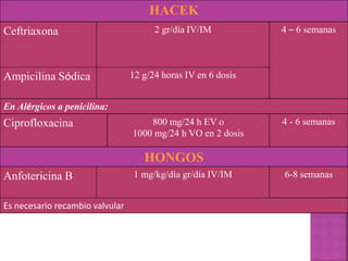 HACEK
Ceftriaxona 2 gr/día IV/IM 4 – 6 semanas
Ampicilina Sódica 12 g/24 horas IV en 6 dosis
En Alérgicos a penicilina:
Ciprofloxacina 800 mg/24 h EV o
1000 mg/24 h VO en 2 dosis
4 - 6 semanas
HONGOS
Anfotericina B 1 mg/kg/día gr/día IV/IM 6-8 semanas
Es necesario recambio valvular
 