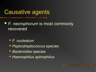 Causative agents
 F. necrophorum is most commonly
recovered
 F. nucleatum
 Peptostreptococcus species
 Bacteroides species
 Haemophilus aphrophilus
 
