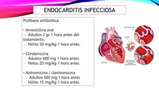 ENDOCARDITIS INFECCIOSA
Profilaxis antibiótica:
▫ Amoxicilina oral
Adultos 2 gr 1 hora antes del
tratamiento.
Niños 50 mg/kg 1 hora antes.
▫ Clindamicina
Adultos 600 mg 1 hora antes.
Niños 20 mg/kg 1 hora antes.
▫ Azitromicina / claritromicina
Adultos 500 mg 1 hora antes
Niños 15 mg/kg 1 hora antes.
 
