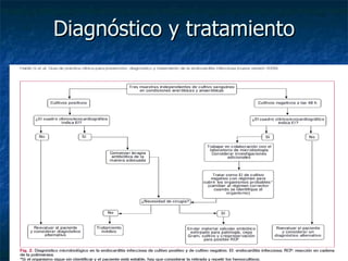 Diagnóstico y tratamiento
 