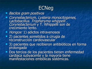 ECNeg
   Bacilos gram positivos
   Corynebacterium, Lysteria monocitogenes,
    Lactobacillus. Tropheryma whippelli .
    Corynebacterium y T. Whippelli son de
    crecimiento lento.
   Hongos: 1) adictos intravenosos
   2) pacientes sometidos a cirugía de
    reconstrucción cardiovascular
   3) pacientes que recibieron antibióticos en forma
    prolongada
   Dos tercios de los pacientes tienen enfermedad
    cardiaca subyacente y la mayoría tiene
    manifestaciones embólicas sistémicas.
 