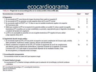 ecocardiograma
 