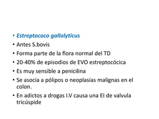 • Estreptococo gallolyticus
• Antes S.bovis
• Forma parte de la flora normal del TD
• 20-40% de episodios de EVO estreptocócica
• Es muy sensible a penicilina
• Se asocia a pólipos o neoplasias malignas en el
colon.
• En adictos a drogas I.V causa una EI de valvula
tricúspide
 