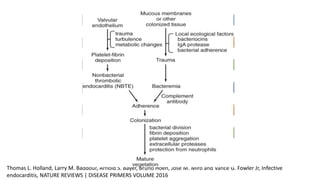 Endocarditis trombotica no bacteriana
Thomas L. Holland, Larry M. Baddour, Arnold S. Bayer, Bruno Hoen, Jose M. Miro and Vance G. Fowler Jr, Infective
endocarditis, NATURE REVIEWS | DISEASE PRIMERS VOLUME 2016
Interacción microorganismos - ETNB
Mecanismos de adherencia bacteriana al endocardio
Agregación plaquetaria y evolución de vegetación
Formación de biofilm
Factores inmunopatologicos
 