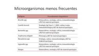 Microorganismos menos frecuentes
 