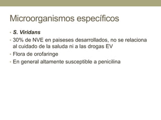 Microorganismos específicos
• S. Viridans
• 30% de NVE en paiseses desarrollados, no se relaciona
  al cuidado de la saluda ni a las drogas EV
• Flora de orofaringe
• En general altamente susceptible a penicilina
 