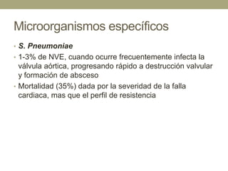 Microorganismos específicos
• S. Pneumoniae
• 1-3% de NVE, cuando ocurre frecuentemente infecta la
  válvula aórtica, progresando rápido a destrucción valvular
  y formación de absceso
• Mortalidad (35%) dada por la severidad de la falla
  cardiaca, mas que el perfil de resistencia
 