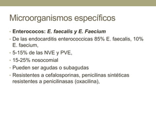 Microorganismos específicos
• Enterococos: E. faecalis y E. Faecium
• De las endocarditis enterococcicas 85% E. faecalis, 10%
    E. faecium,
•   5-15% de las NVE y PVE,
•   15-25% nosocomial
•   Pueden ser agudas o subagudas
•   Resistentes a cefalosporinas, penicilinas sintéticas
    resistentes a penicilinasas (oxacilina),
 