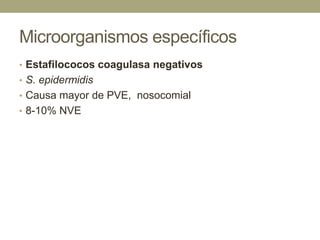Microorganismos específicos
• Estafilococos coagulasa negativos
• S. epidermidis
• Causa mayor de PVE, nosocomial
• 8-10% NVE
 