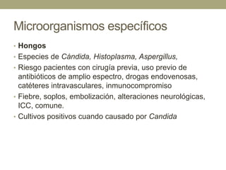 Microorganismos específicos
• Hongos
• Especies de Cándida, Histoplasma, Aspergillus,
• Riesgo pacientes con cirugía previa, uso previo de
  antibióticos de amplio espectro, drogas endovenosas,
  catéteres intravasculares, inmunocompromiso
• Fiebre, soplos, embolización, alteraciones neurológicas,
  ICC, comune.
• Cultivos positivos cuando causado por Candida
 