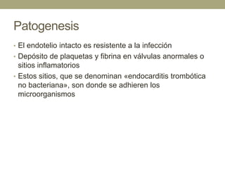 Patogenesis
• El endotelio intacto es resistente a la infección
• Depósito de plaquetas y fibrina en válvulas anormales o
  sitios inflamatorios
• Estos sitios, que se denominan «endocarditis trombótica
  no bacteriana», son donde se adhieren los
  microorganismos
 