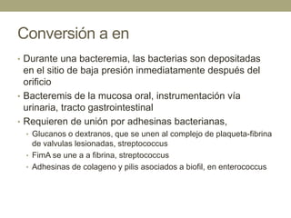 Conversión a en
• Durante una bacteremia, las bacterias son depositadas
  en el sitio de baja presión inmediatamente después del
  orificio
• Bacteremis de la mucosa oral, instrumentación vía
  urinaria, tracto gastrointestinal
• Requieren de unión por adhesinas bacterianas,
  • Glucanos o dextranos, que se unen al complejo de plaqueta-fibrina
    de valvulas lesionadas, streptococcus
  • FimA se une a a fibrina, streptococcus
  • Adhesinas de colageno y pilis asociados a biofil, en enterococcus
 
