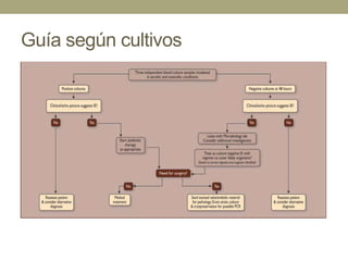 Guía según cultivos
 