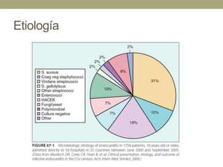 Etiología
 