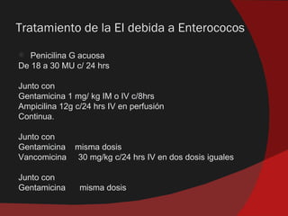 Tratamiento de la EI debida a Enterococos
  Penicilina G acuosa
De 18 a 30 MU c/ 24 hrs

Junto con
Gentamicina 1 mg/ kg IM o IV c/8hrs
Ampicilina 12g c/24 hrs IV en perfusión
Continua.

Junto con
Gentamicina    misma dosis
Vancomicina    30 mg/kg c/24 hrs IV en dos dosis iguales

Junto con
Gentamicina     misma dosis
 