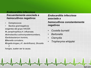 Endocarditis infecciosa
 frecuentemente asociada a                      Endocarditis infecciosa
 hemocultivos negativos                         asociada a
• Estreptococos                                 hemocultivos constantemente
• Bacilos gramnegativos                         negativos
exigentes del grupo HACEK
H. paraphrophilus,H. influenzae,                •   Coxiella burnetii
Actinobacillus actinomycetemcomitans,           •   Bartonella
Cardiobacterium hominis,                        •   Clamydia
Eikenella corrodens,
                                                •   Tropheryma whipplei
Kingella kingae y K. denitrificans), Brucella
    y
hongos, suelen ser la causa.
 