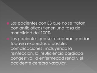  Los pacientes con EB que no se tratan 
con antibioticos tienen una tasa de 
mortalidad del 100%. 
 Los pacientes que se recuperan quedan 
todavia expuestos a posibles 
complicaciones , incluyendo la 
reinfeccion, la insuficiencia cardiaca 
congestiva, la enfermedad renal y el 
accidente cerebro vascular. 
 
