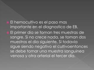  El hemocultivo es el paso mas 
importante en el diagnostico de EB. 
 El primer dia se toman tres muestras de 
sangre. Si no crece nada, se toman dos 
muestras el dia siguiente. Si todavia 
sigue siendo negativo el cultivoentonces 
se debe tomar una muestra sanguinea 
venosa y otra arterial el tercer dia. 
 