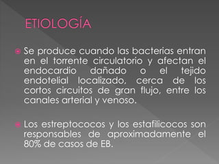  Se produce cuando las bacterias entran 
en el torrente circulatorio y afectan el 
endocardio dañado o el tejido 
endotelial localizado, cerca de los 
cortos circuitos de gran flujo, entre los 
canales arterial y venoso. 
 Los estreptococos y los estafilicocos son 
responsables de aproximadamente el 
80% de casos de EB. 
 