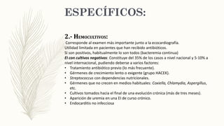 2.- HEMOCULTIVOS:
Corresponde al examen más importante junto a la ecocardiografía.
Utilidad limitada en pacientes que han recibido antibióticos.
Si son positivos, habitualmente lo son todos (bacteremia continua)
EI con cultivos negativos: Constituye del 35% de los casos a nivel nacional y 5-10% a
nivel internacional, pudiendo deberse a varios factores:
• Tratamiento antibiótico previo (lo más frecuente).
• Gérmenes de crecimiento lento o exigente (grupo HACEK).
• Streptococcus con dependencias nutricionales.
• Gérmenes que no crecen en medios habituales: Coxiella, Chlamydia, Aspergillus,
etc.
• Cultivos tomados hacia el final de una evolución crónica (más de tres meses).
• Aparición de uremia en una EI de curso crónico.
• Endocarditis no infecciosa
 
