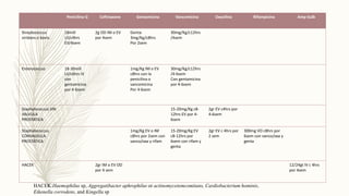 Penicilina G Ceftriaxone Gentamicina Vancomicina Oxacilina Rifampicina Amp-Sulb
Streptococcus
viridans o bovis.
18mill
UI/c4hrs
EV/4sem
2g OD IM o EV
por 4sem
Genta:
3mg/Kg/c8hrs
Por 2sem
30mg/Kg/c12hrs
/4sem
Enterococcus 18-30mill
UI/c6hrs IV
con
gentamicina
por 4-6sem
1mg/Kg IM o EV
c8hrs con la
penicilina o
vancomicina
Por 4-6sem
30mg/Kg/c12hrs
/4-6sem
Con gentamicina
por 4-6sem
Staphylococcus SIN
VALVULA
PROSTÁTICA
15-20mg/Kg c8-
12hrs EV por 4-
6sem
2gr EV c4hrs por
4-6sem
Staphylococcus
CONVALVULA
PROSTÁTICA
1mg/Kg EV o IM
c8hrs por 2sem con
vanco/oxa y rifam
15-20mg/Kg EV
c8-12hrs por
6sem con rifam y
genta
2gr EV c 4hrs por
2 sem
300mg VO c8hrs por
6sem con vanco/oxa y
genta
HACEK 2gr IM o EV OD
por 4 sem
12/24gt IV c 4hrs
por 4sem
HACEK:Haemophilus sp, Aggregatibacter aphrophilus or actinomycetemcomitans, Cardiobacterium hominis,
Eikenella corrodens, and Kingella sp
 